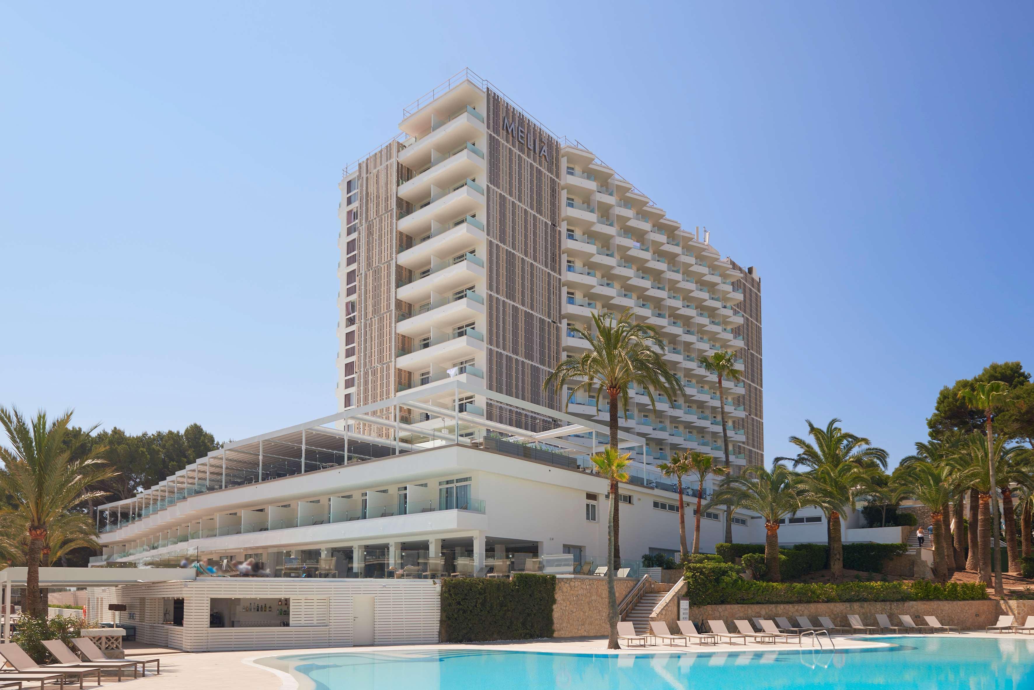Melia Calvia