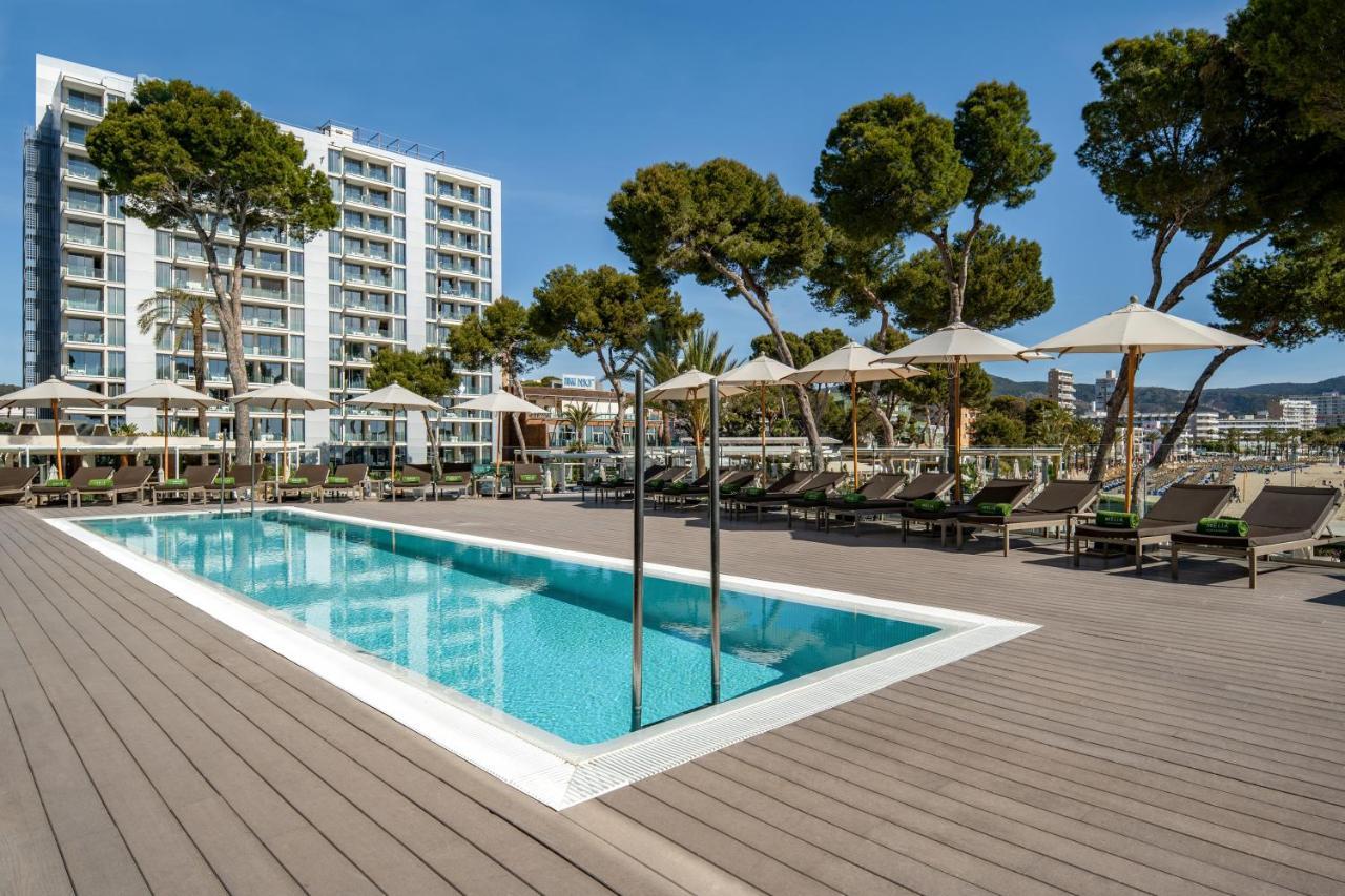 Melia Calvia