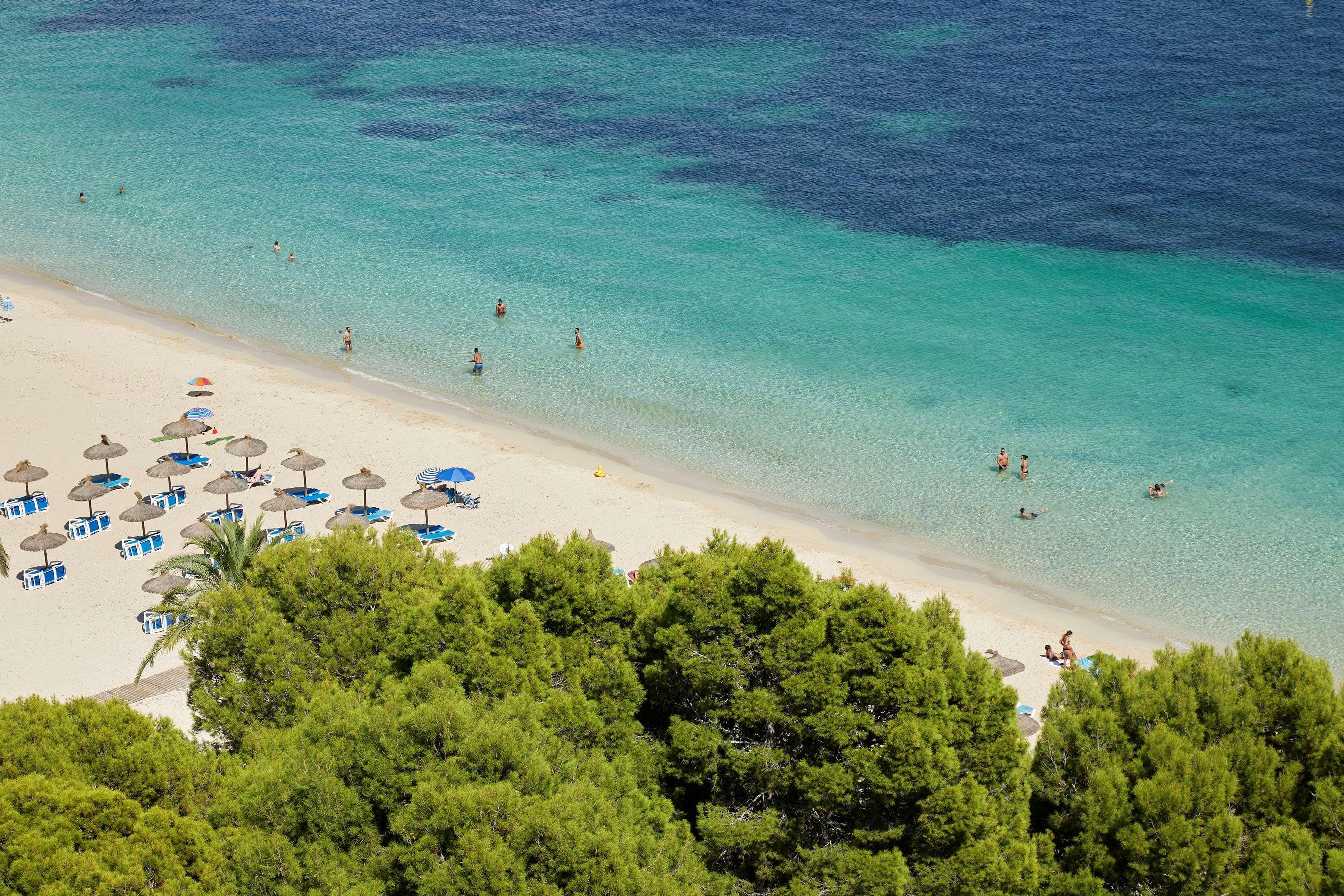 Melia Calvia Hotel 4*