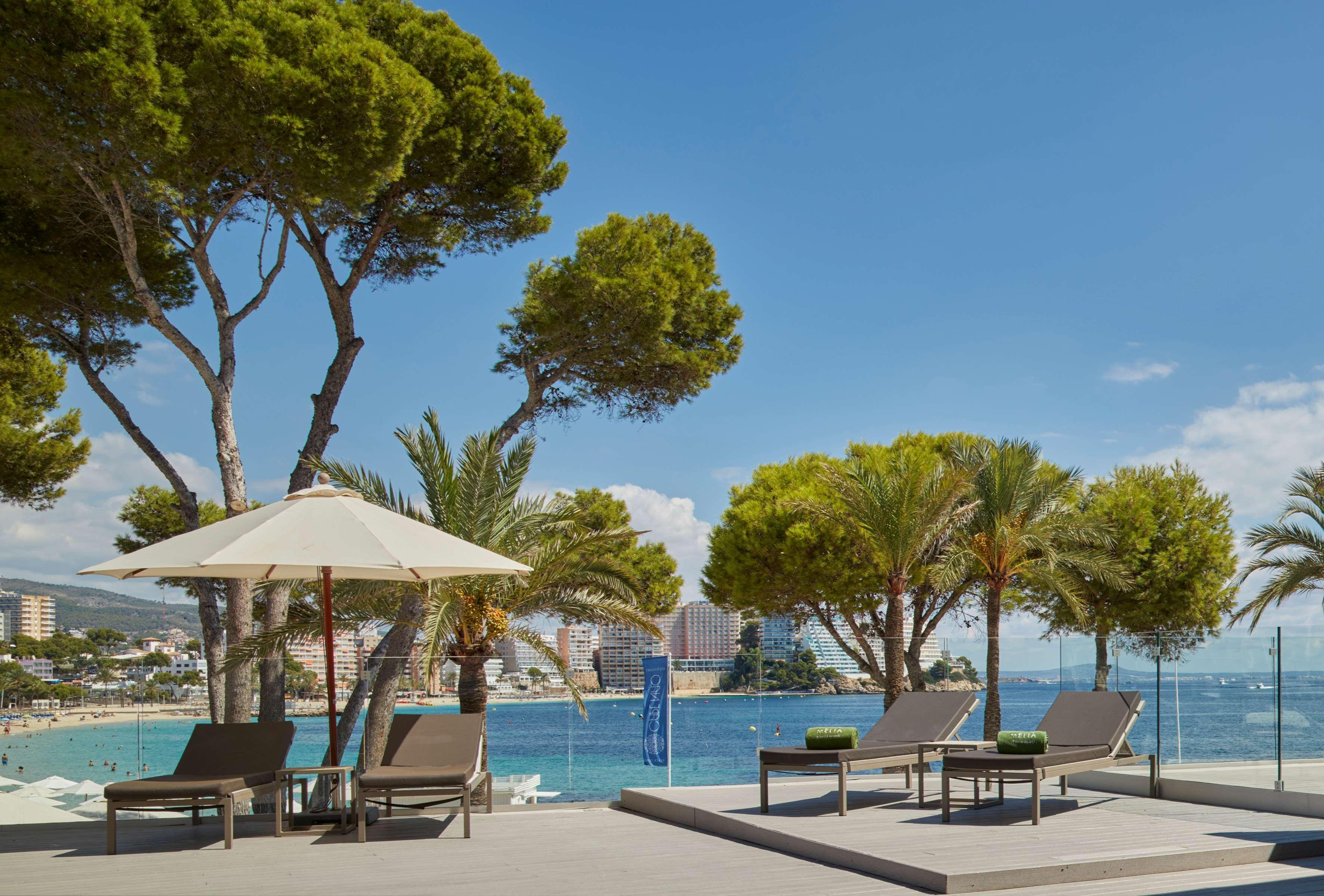 Melia Calvia Hotel